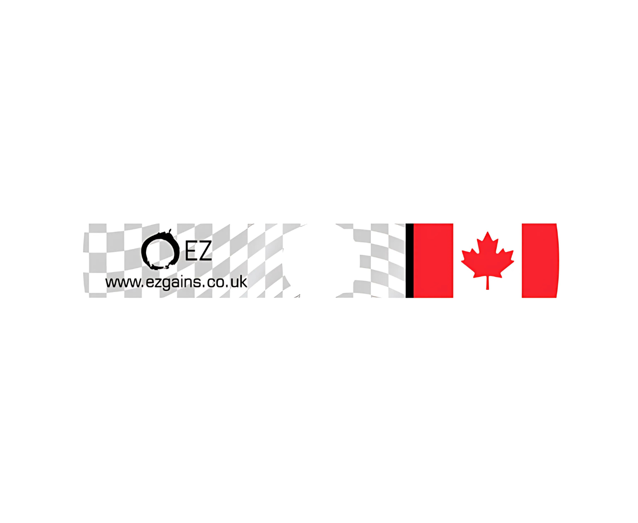 EZ Gains® - Country Flag (EZ Disc Decal)