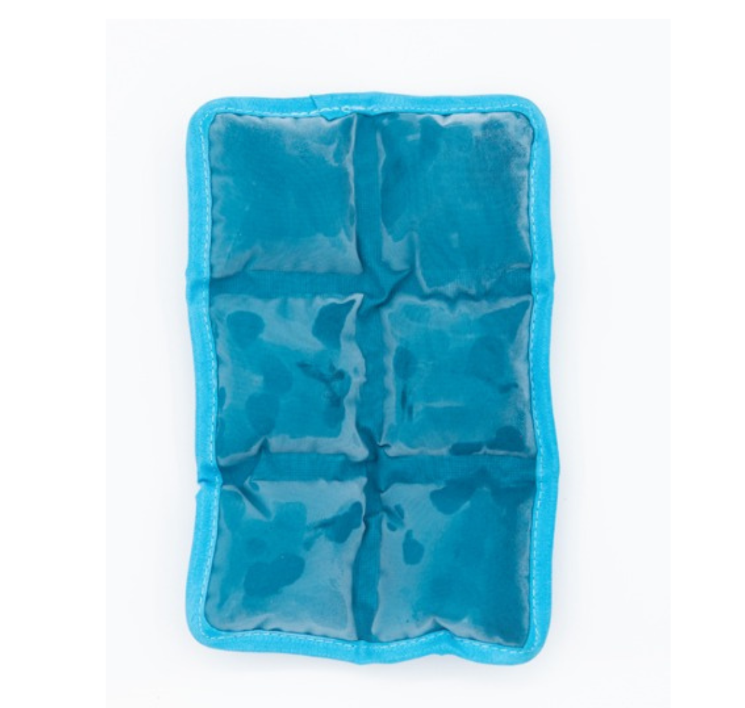 Bag Cooler Pack